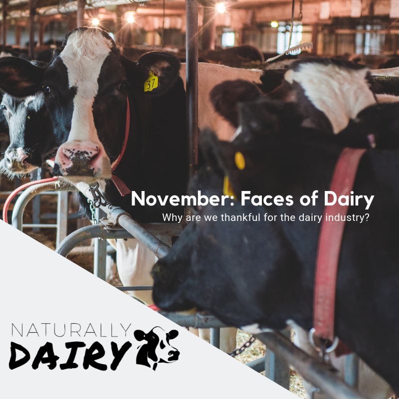 Flack Broadcasting Interview Natrually Dairy Campaign features