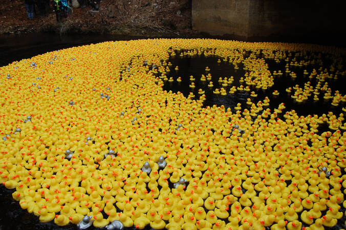 Adironduck Race 2023