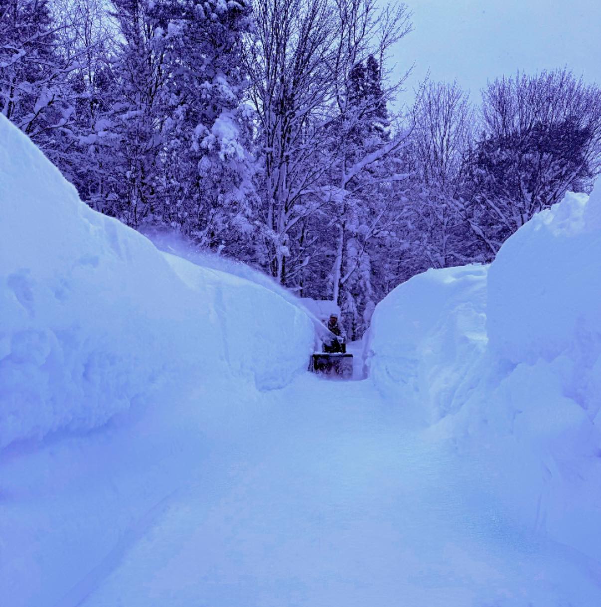 Americo Ventiquatro Snowmlowing February 2025