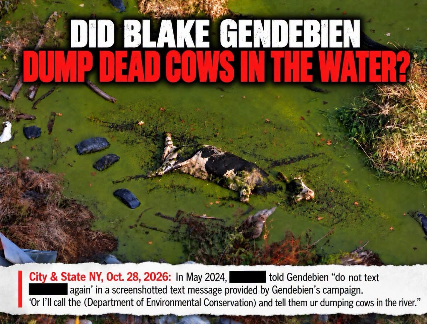 Anthony Constantino Dead Cow Image