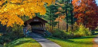 Fall Foliage Tour