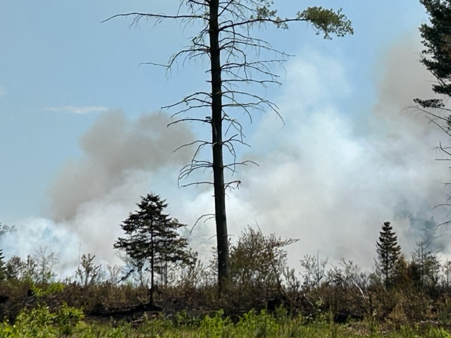 Forestport Brush Fire May 2023