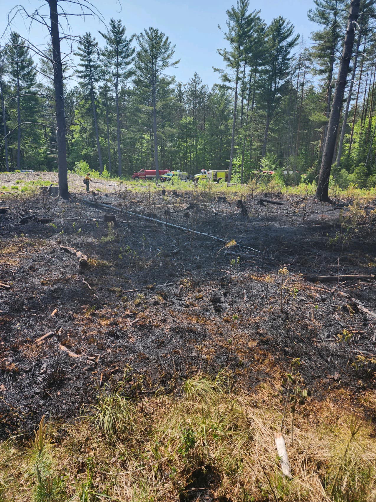 Forestport Wild Fire May 2023