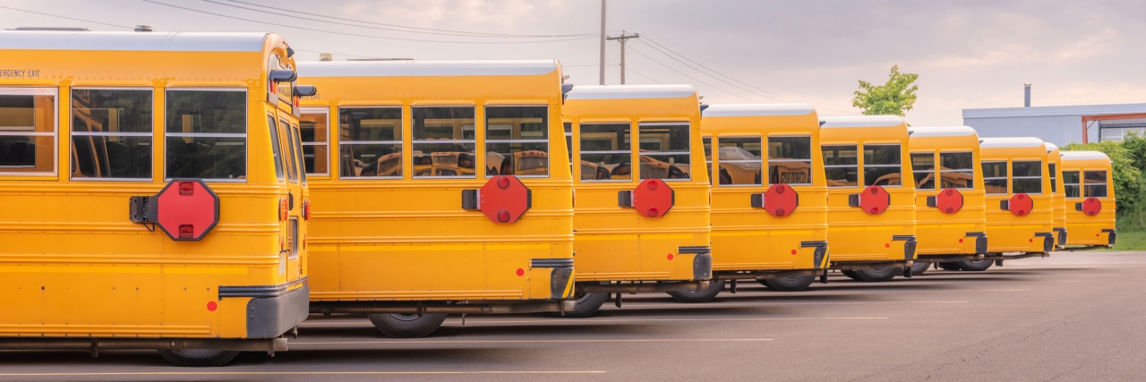 Hochul School Busses