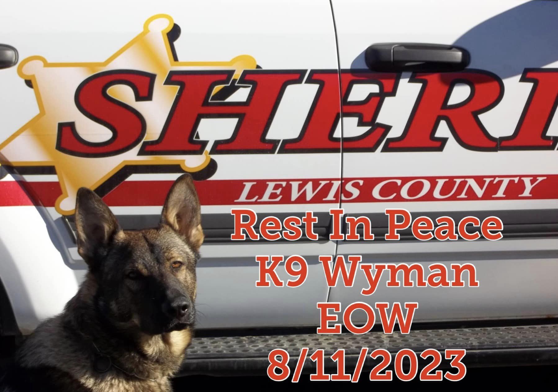 K9 Wyman LCSO