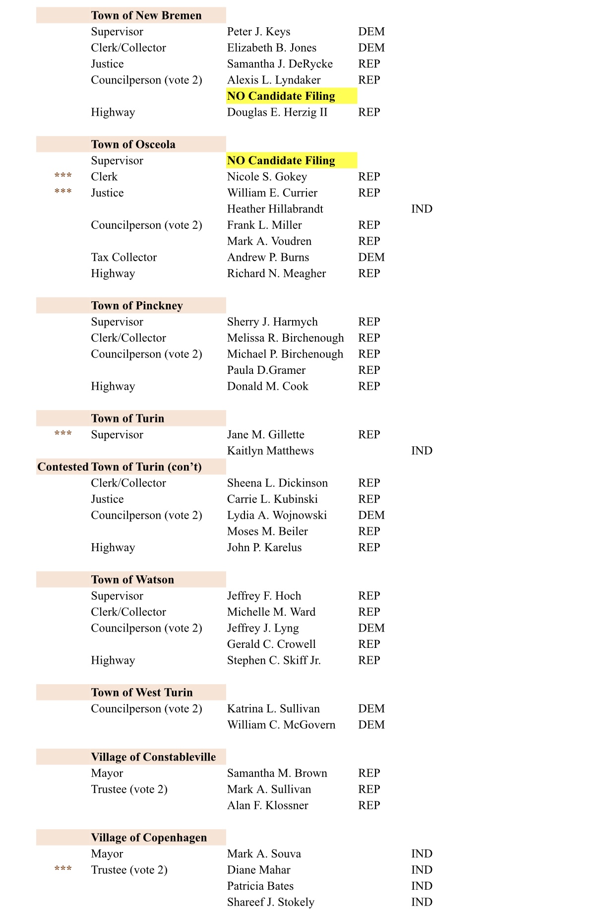 Lewis County Ballot 2023 3