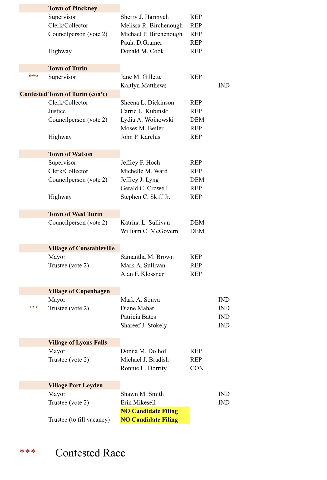 Lewis County Ballot 2023 4