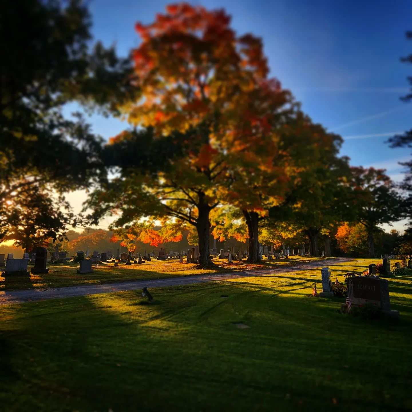 Lowville Rrual Cemetery