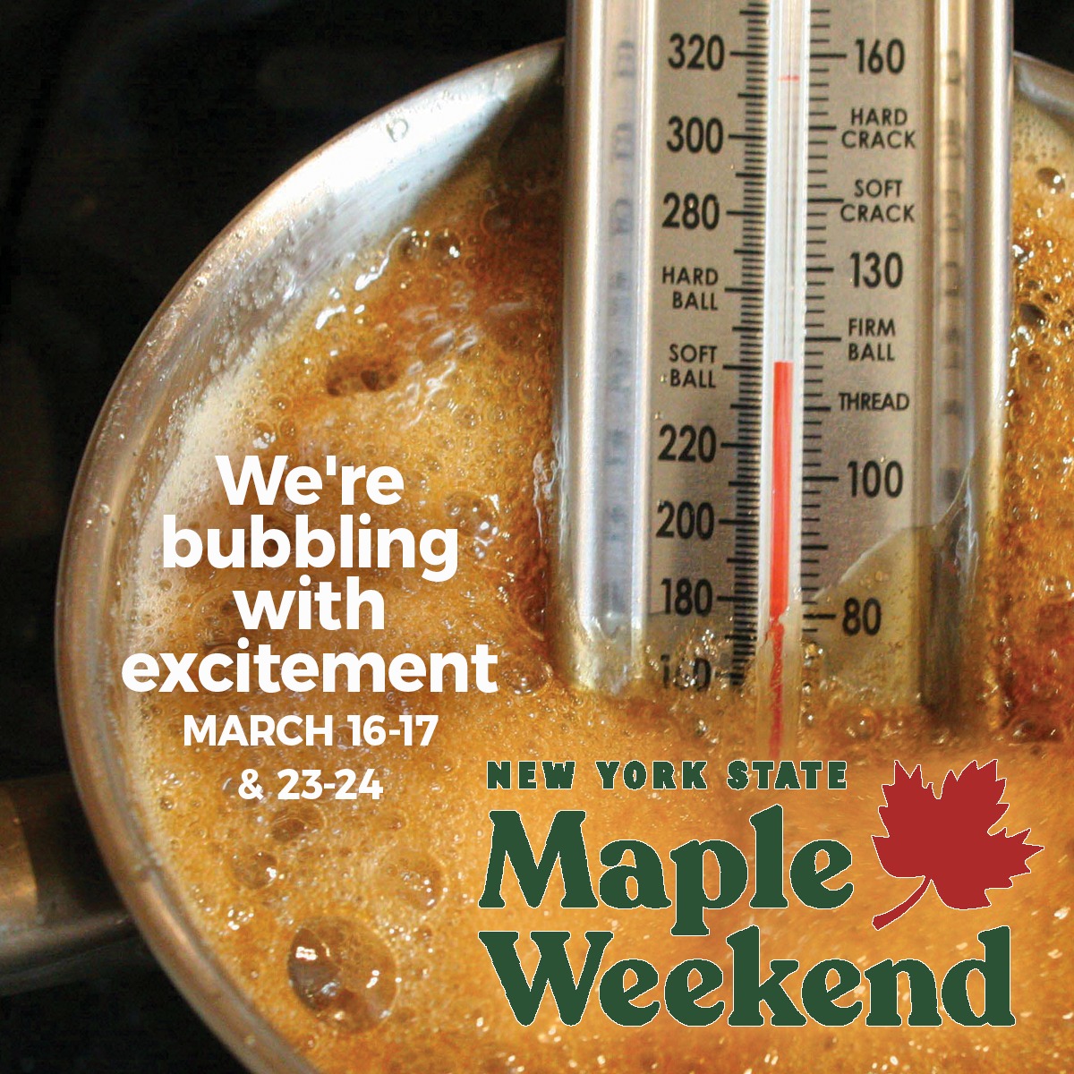 Maple Weekend Boil March 2024