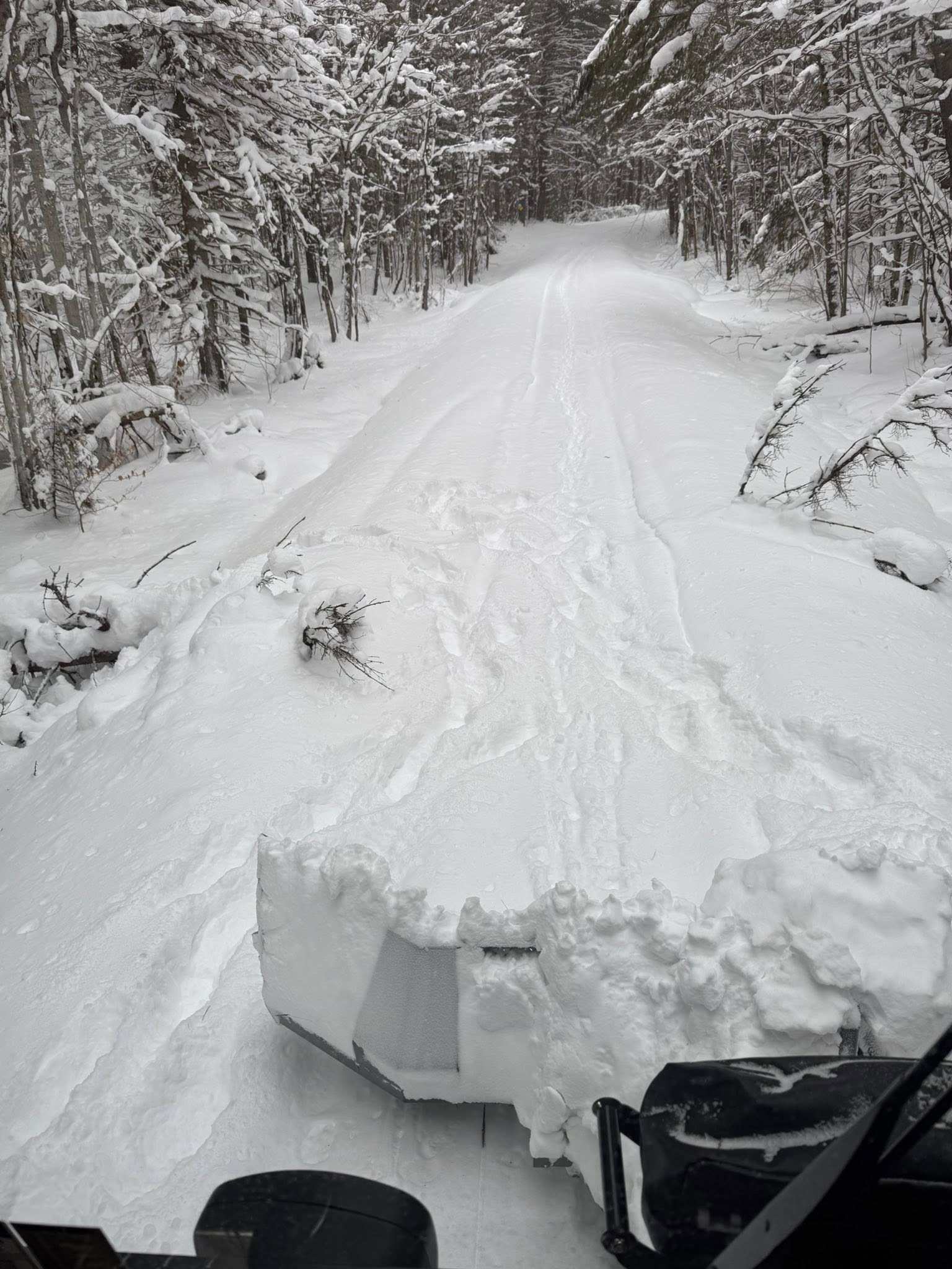 Missing Link Groomer Trails January 2026