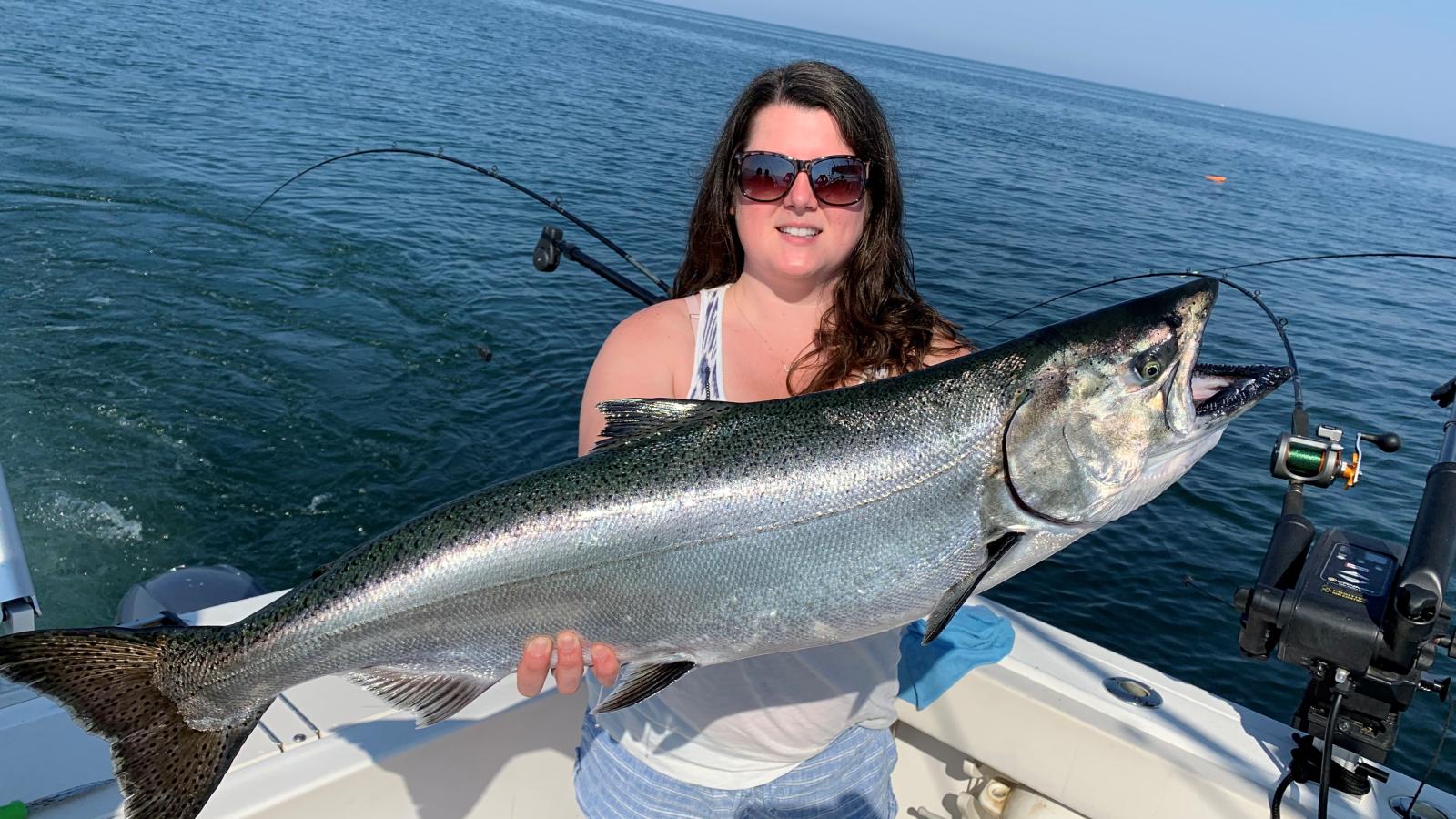 NYS DEC King Salmon Lake Ontario