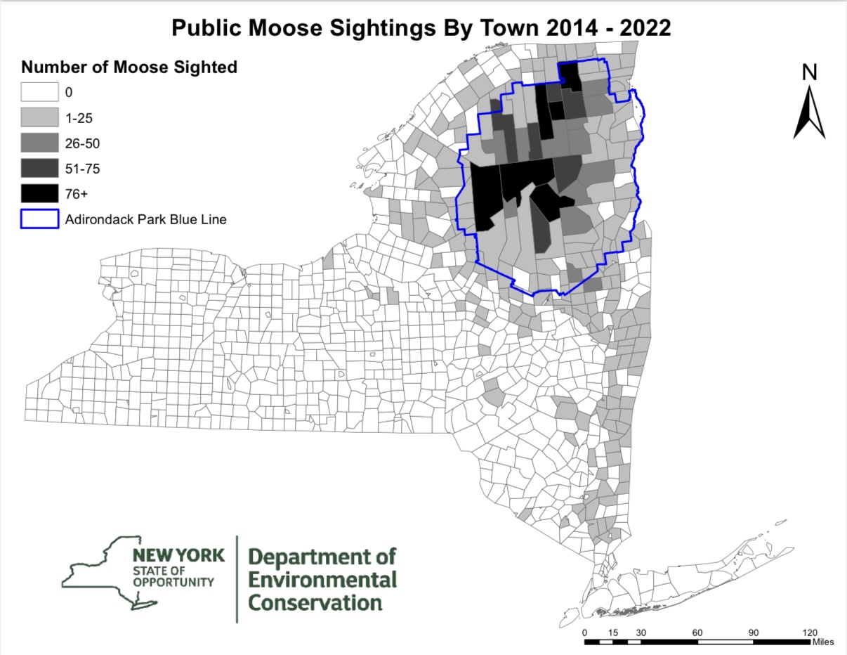 NYS DEC Moose Sightings Map