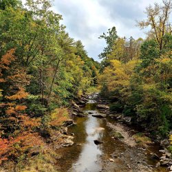 Flack Broadcasting New York Releases First Fall Foliage Report For 