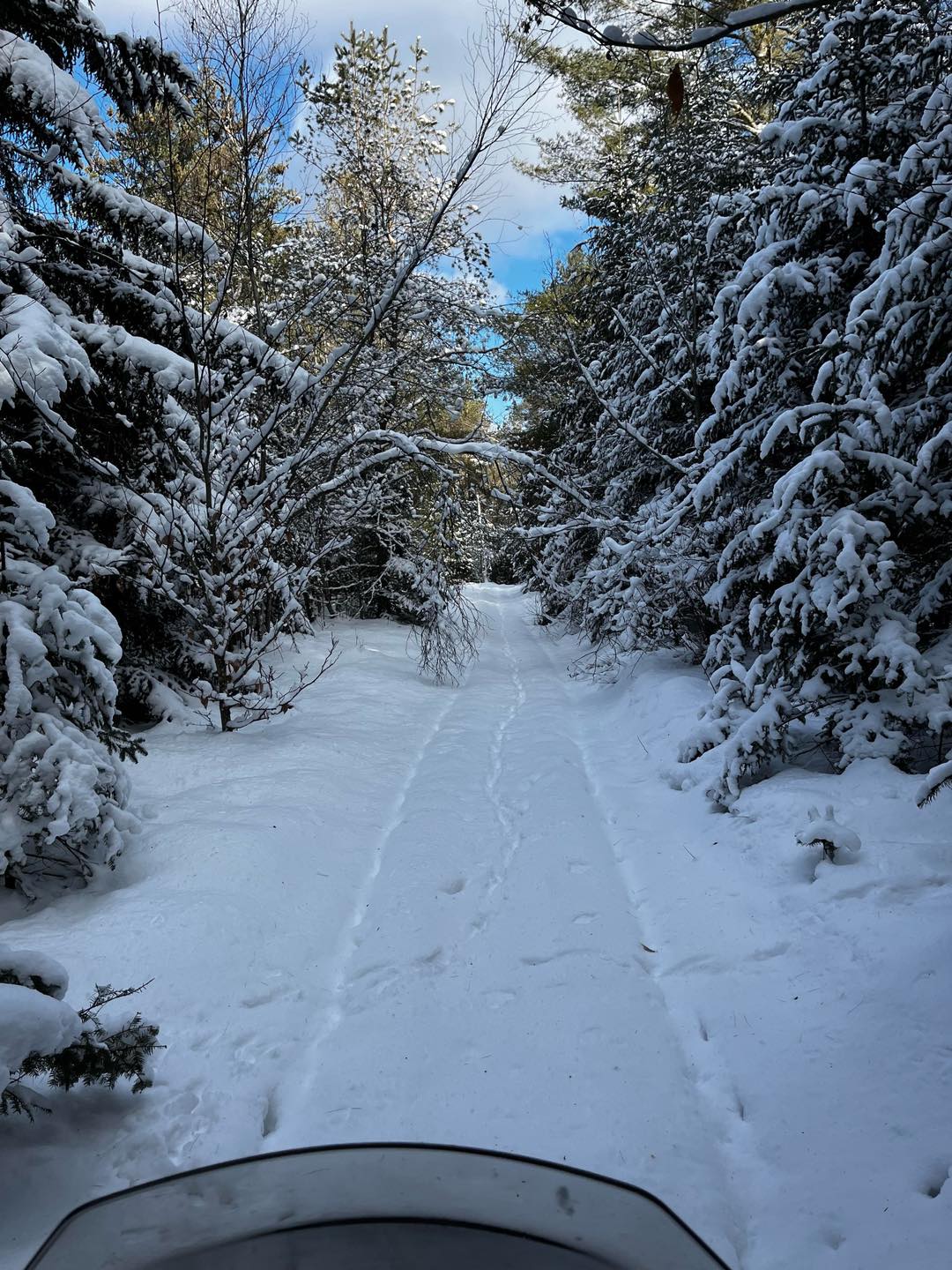 Ohio Ridge Riders Trail January 2024