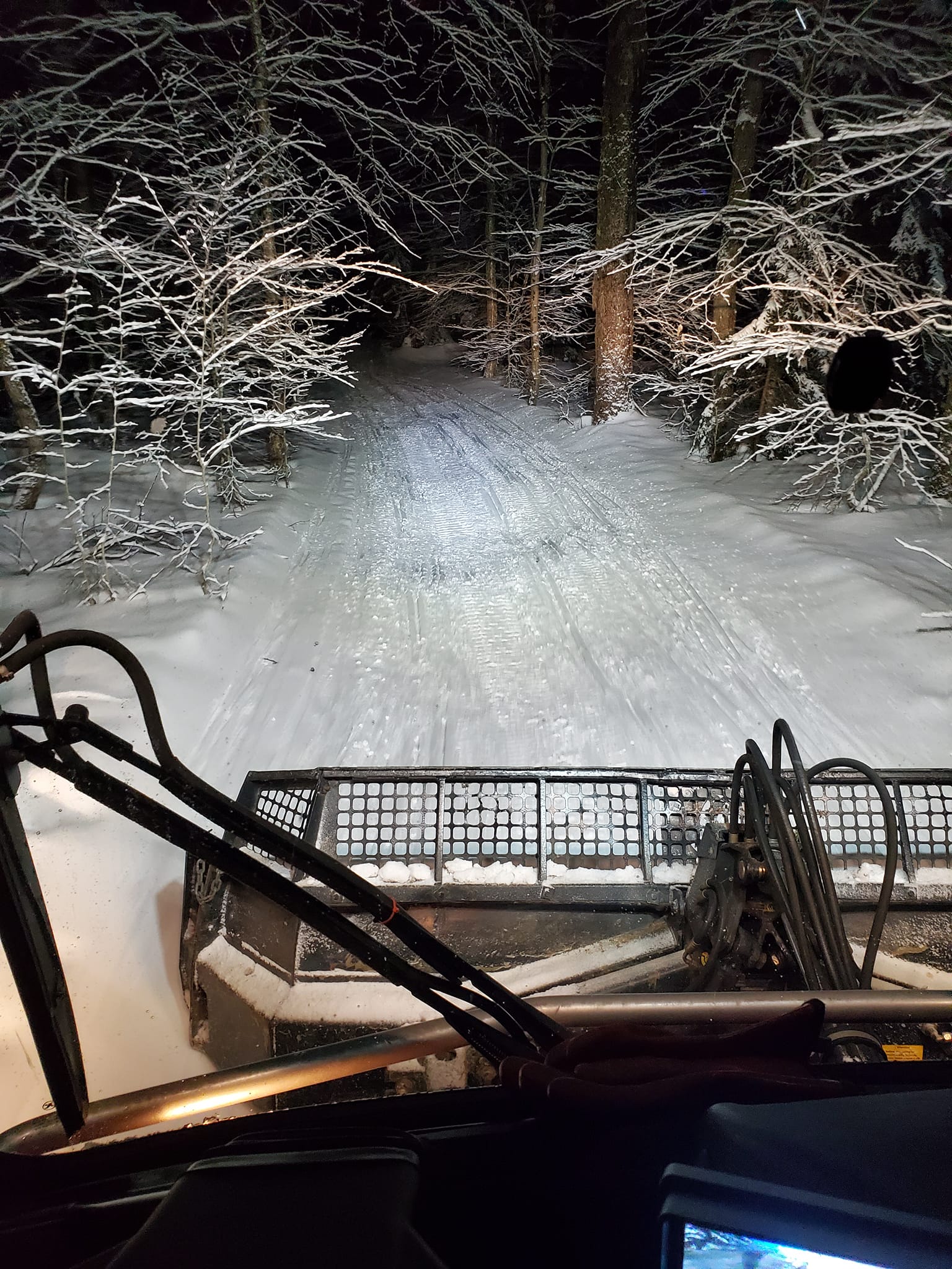 Osceola Groomer January 2023