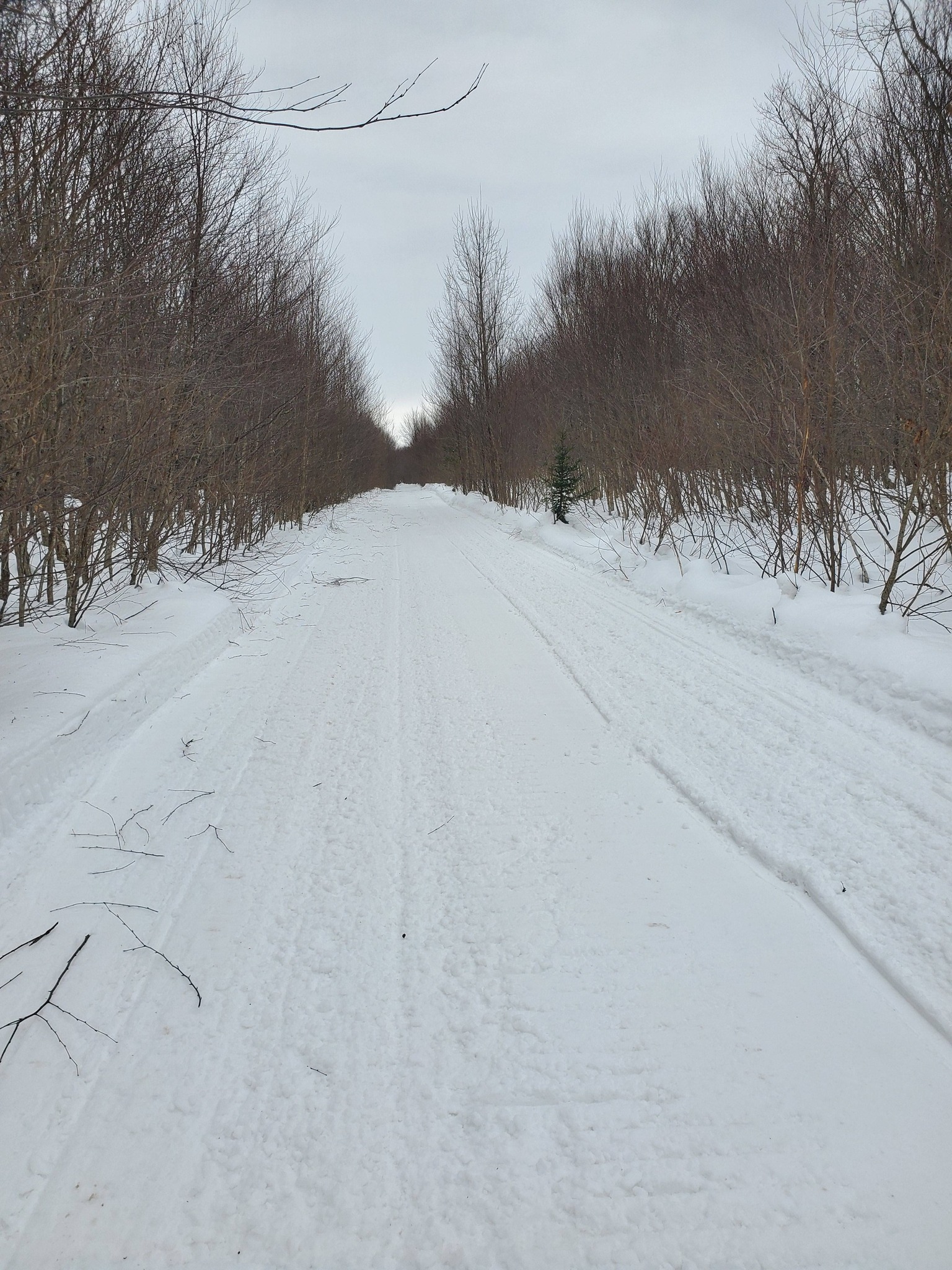 Osceola Snowmobile Association February 19 2026