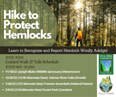 SLELO Hike to Protect Hemlocks 2022