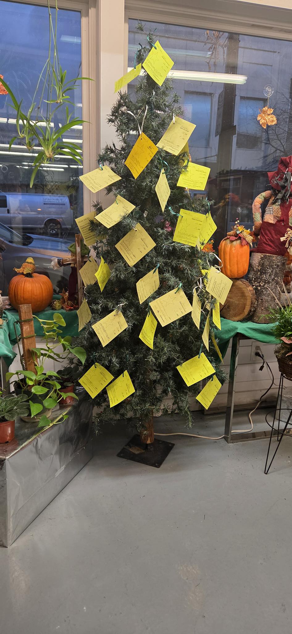 Wish Upon a Star 2025