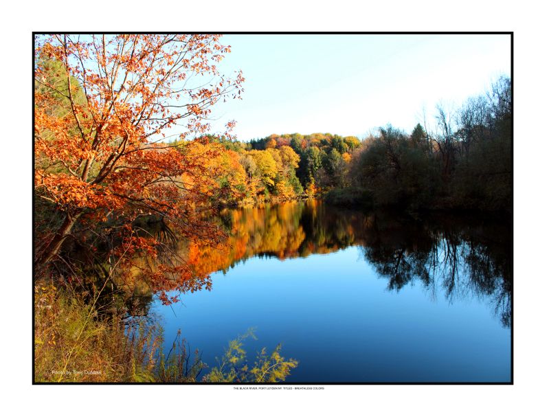 Breathless Colors