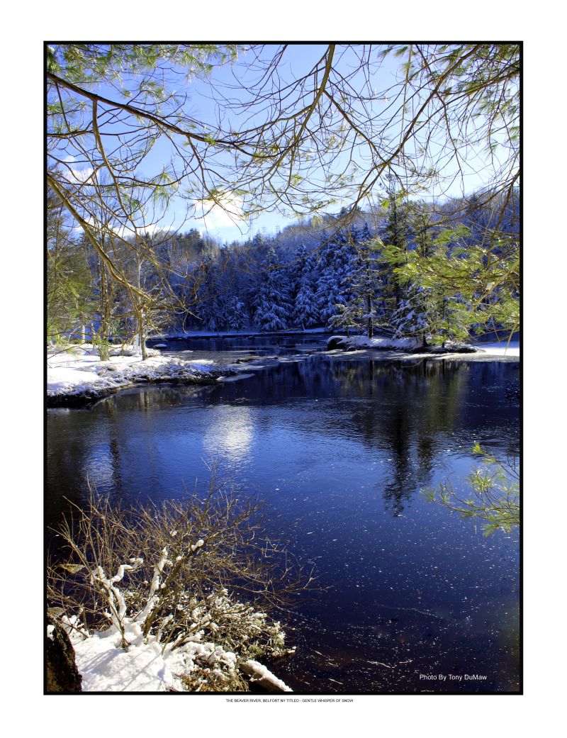Gentle Whisper of Snow