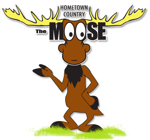 Stream The Moose